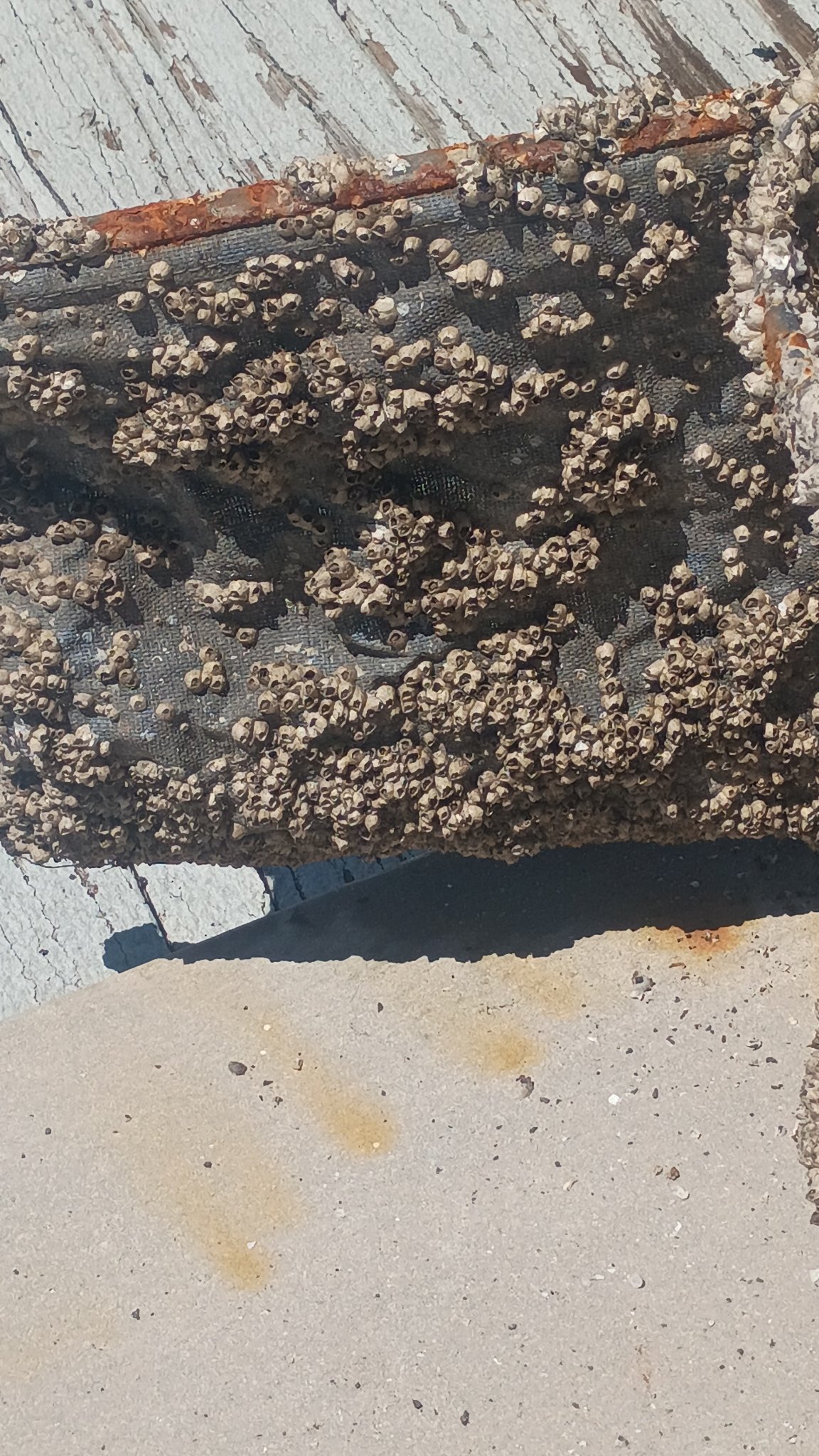 Close view of rock and project material at an underwater work site