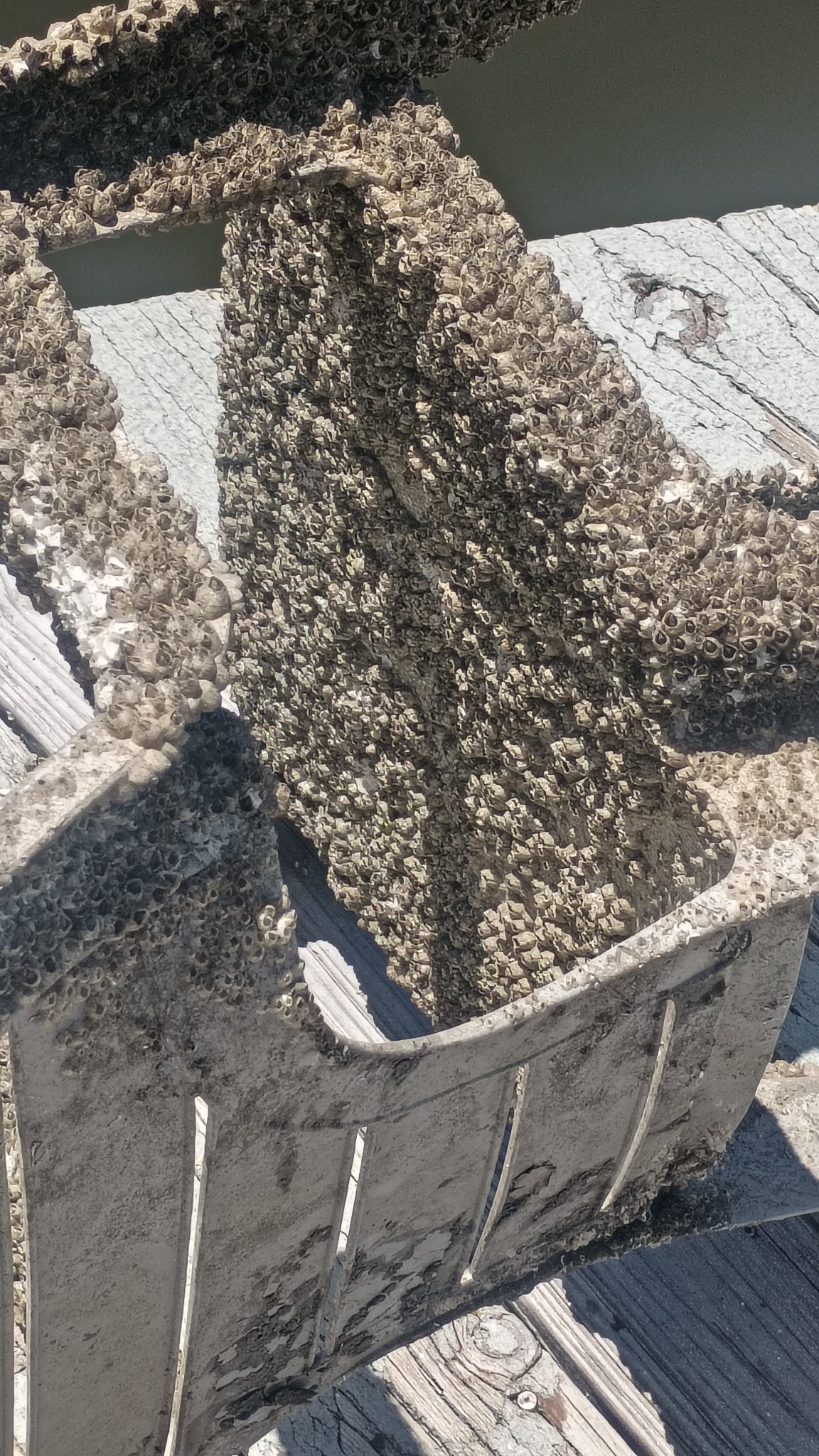 Close view of material and equipment near the water’s edge